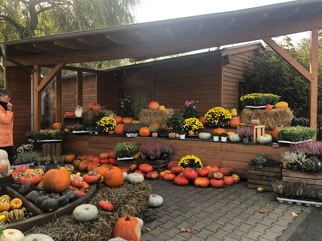 Erlebnisbauernhof Gertrudenhof-Hürth必去景点