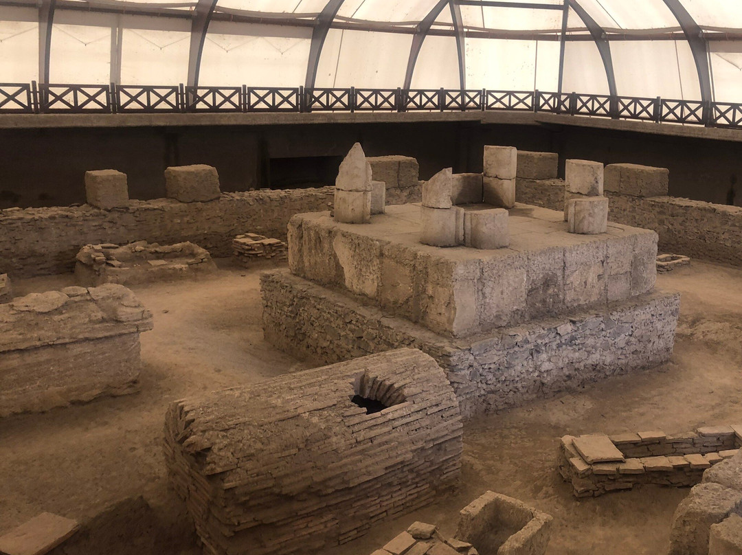 Viminacium Archaeological Park景点图片
