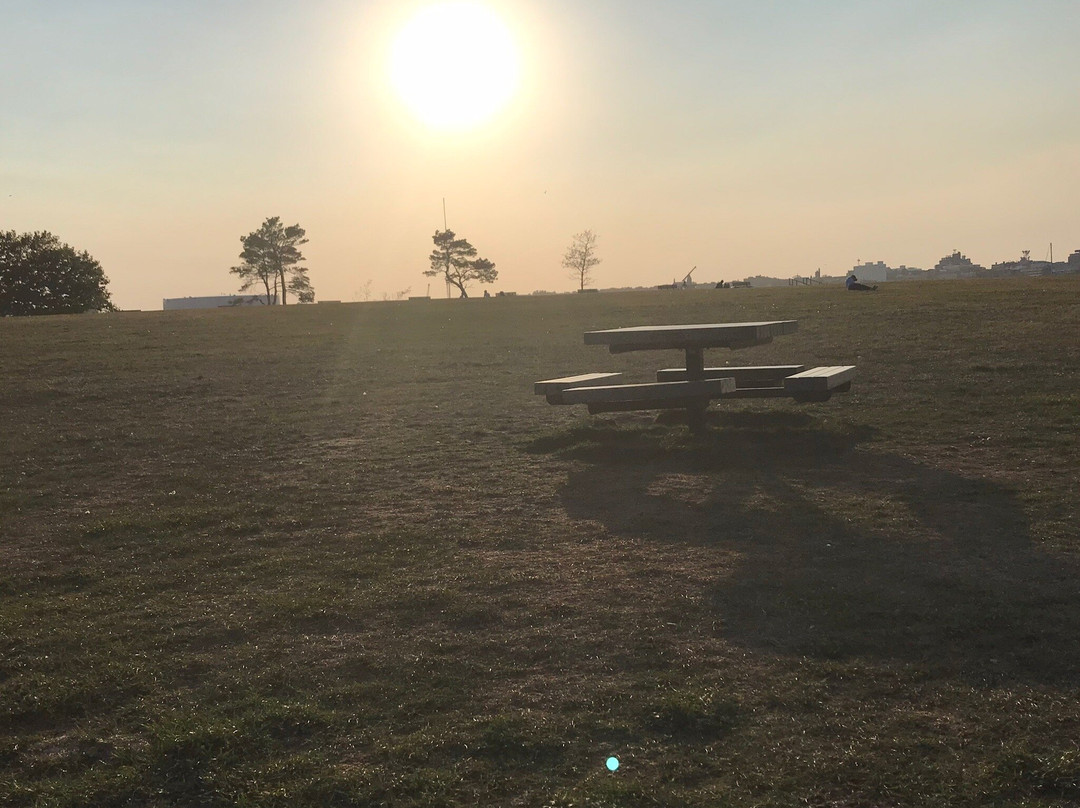 Bug Light Park景点图片