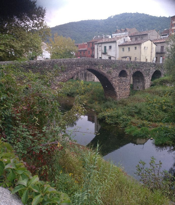 Salt del Moli Fondo景点图片