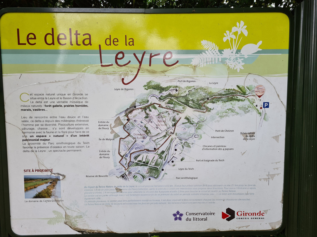 Sentier du Delta de la Leyre景点图片