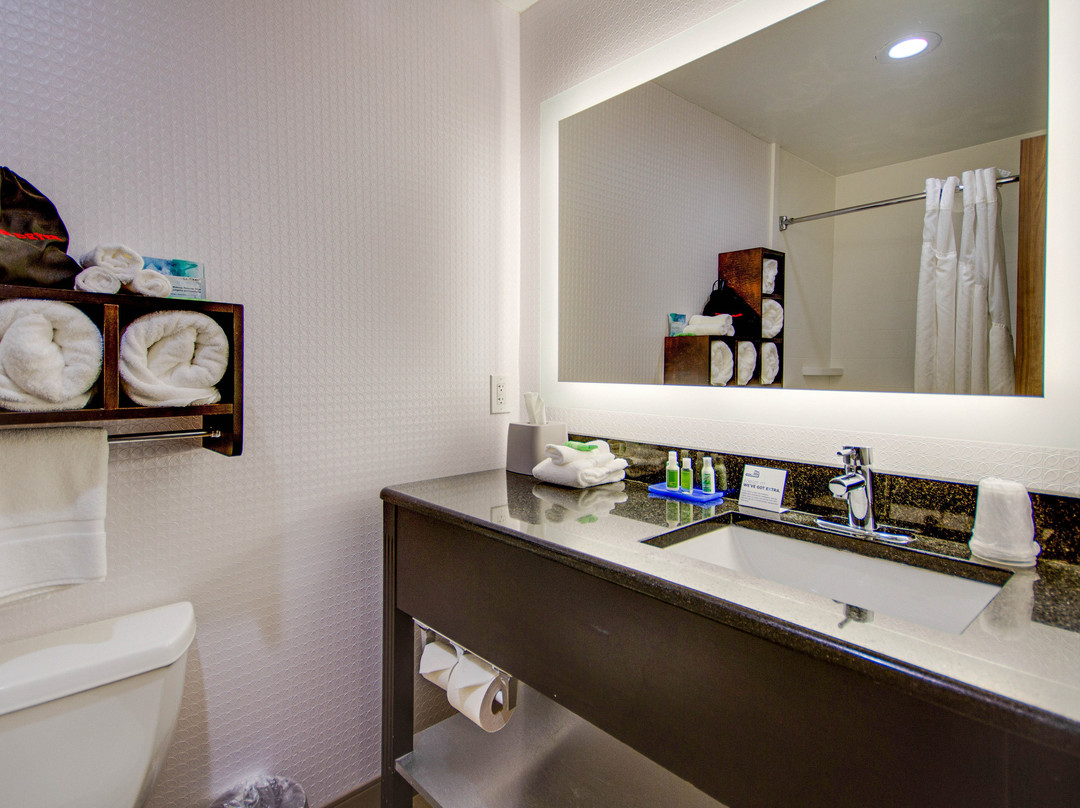 Holiday Inn Express Dublin by IHG主图