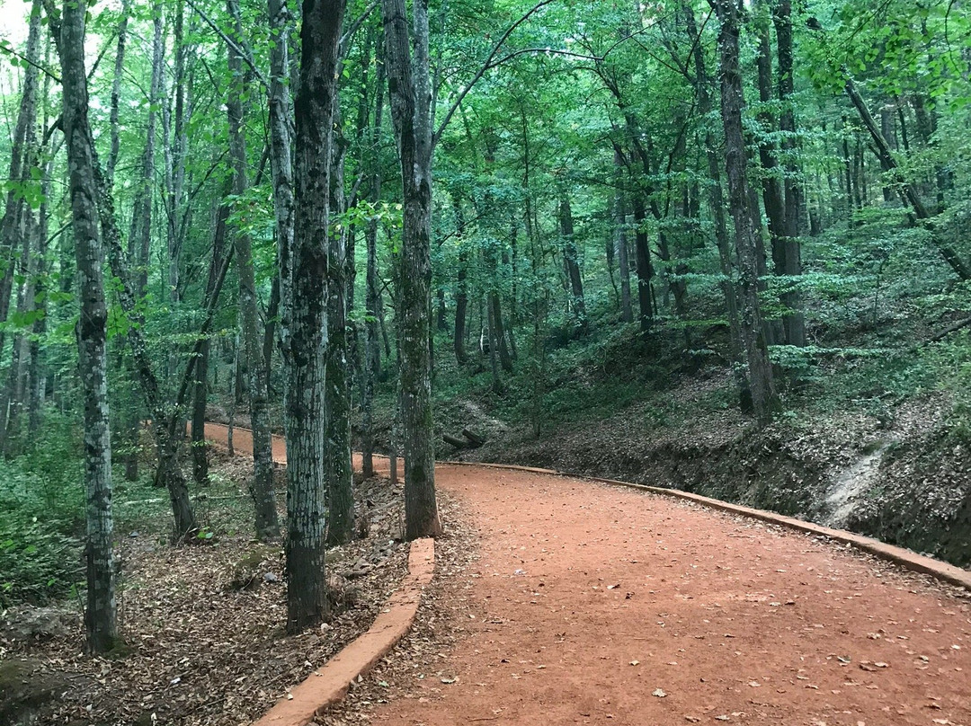 Belgrad Forest-伊斯坦布尔必去景点