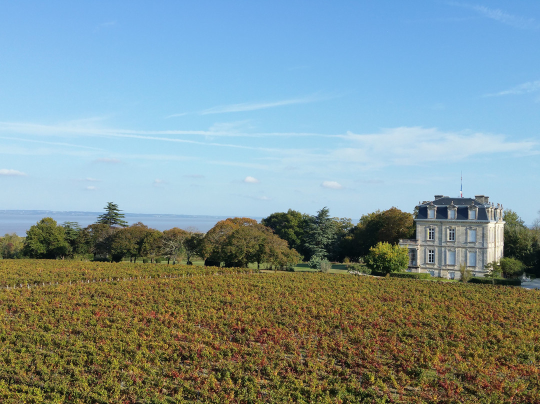 Château La Tour de By景点图片