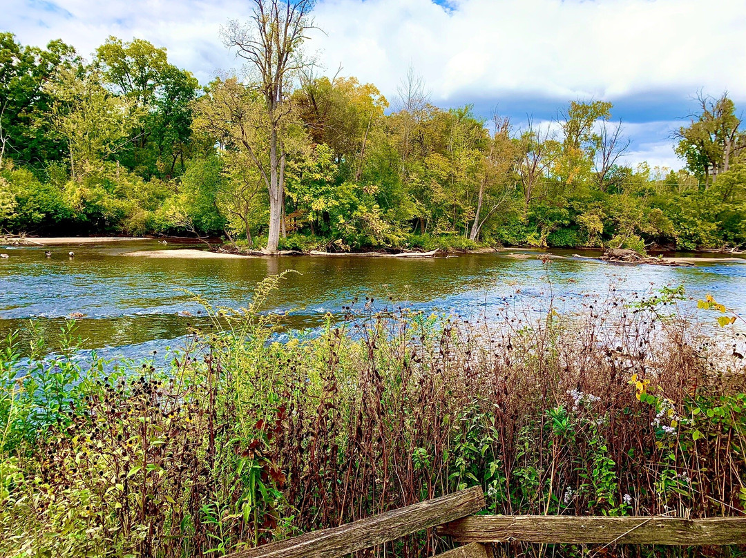 Nichols Arboretum-安娜堡必去景点