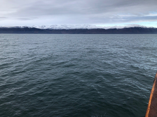 北方航行——胡萨维克观鲸-胡萨维克必去景点