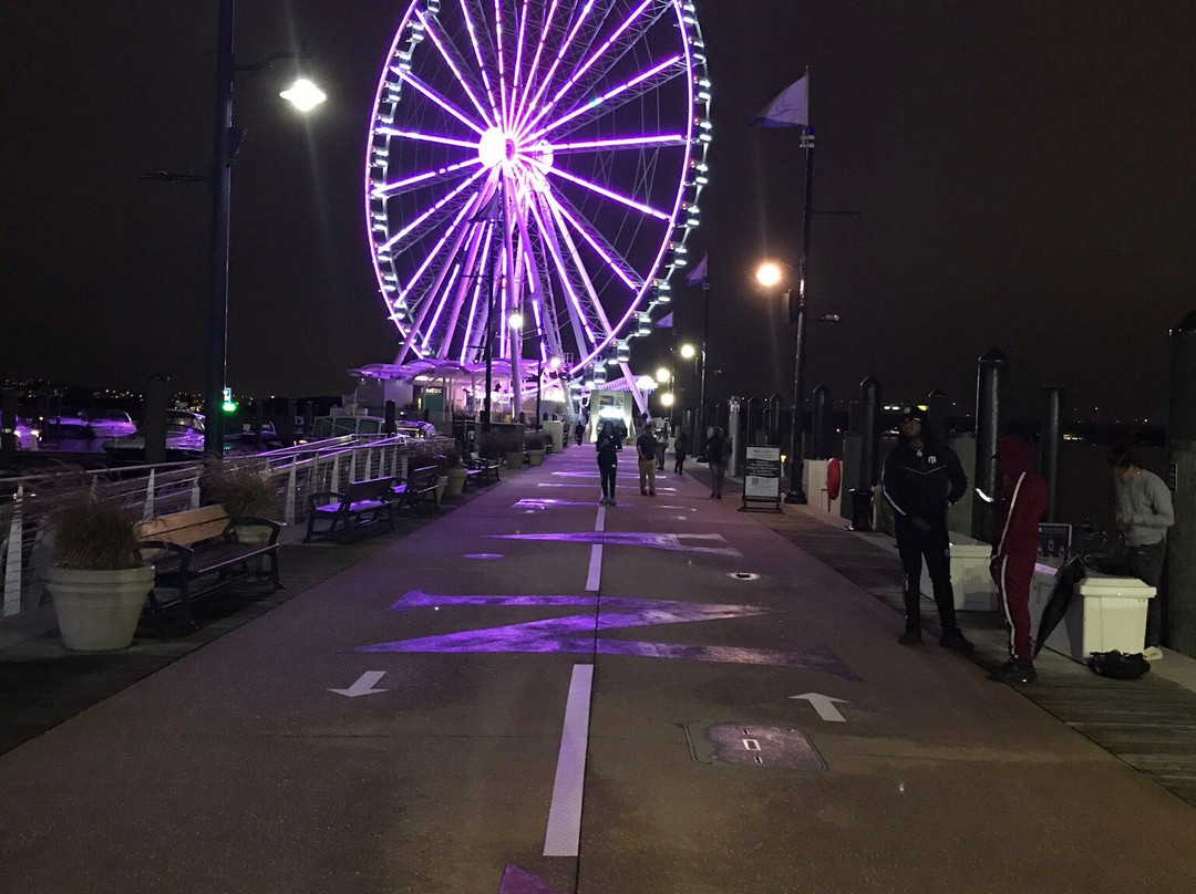 Harborfront Area-国家港口必去景点