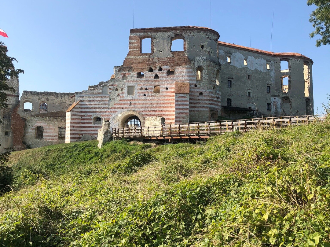 Janowiec Castle景点图片