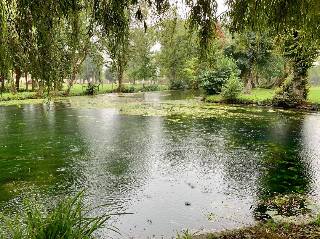Fish Farm景点图片
