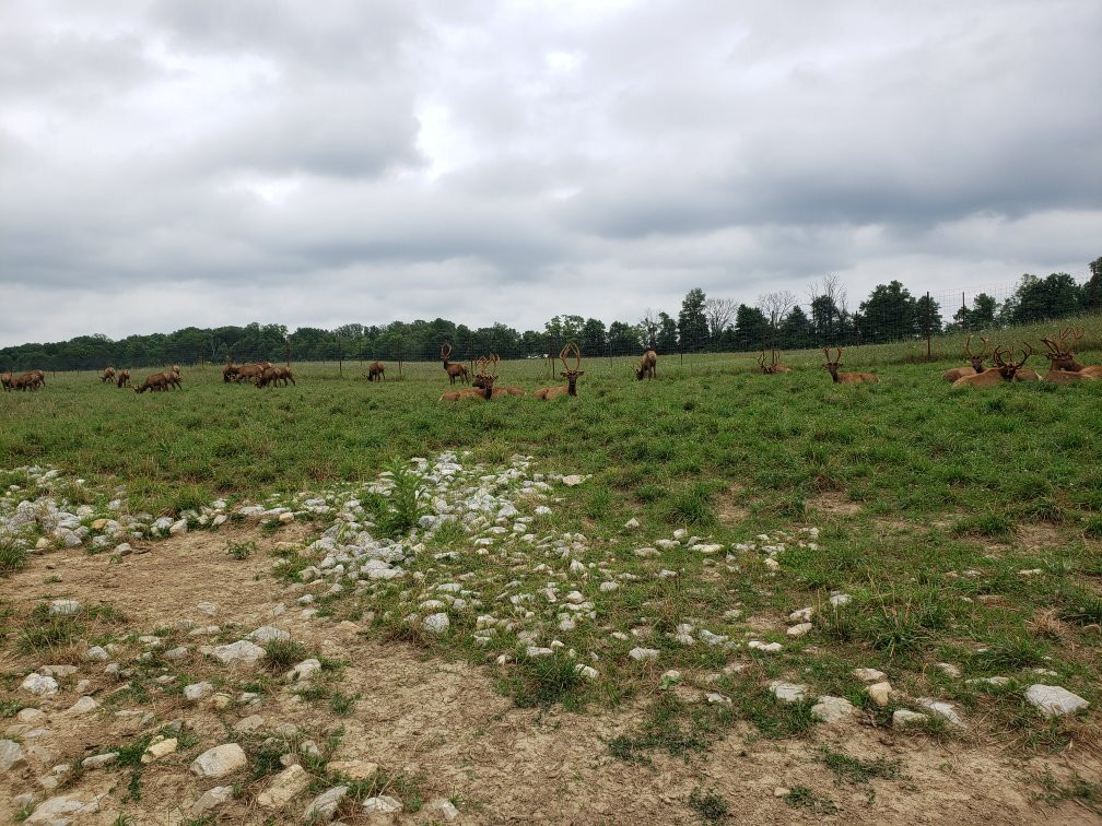 Quiet Harmony Ranch-New Paris必去景点