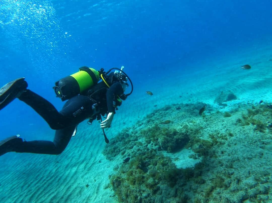 Buceo Norte景点图片