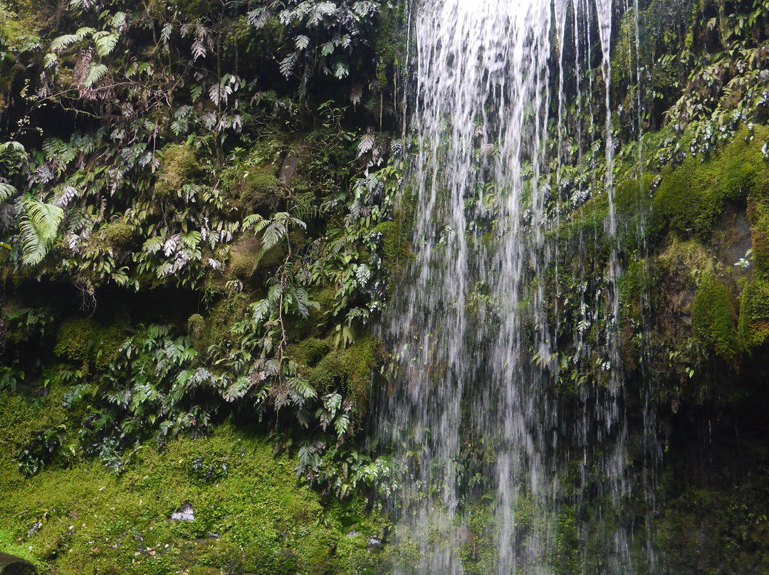 Koropuku Falls景点图片