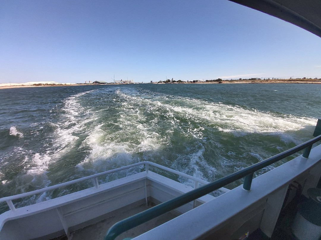 Dolphin Explorer Cruises-Port Adelaide必去景点