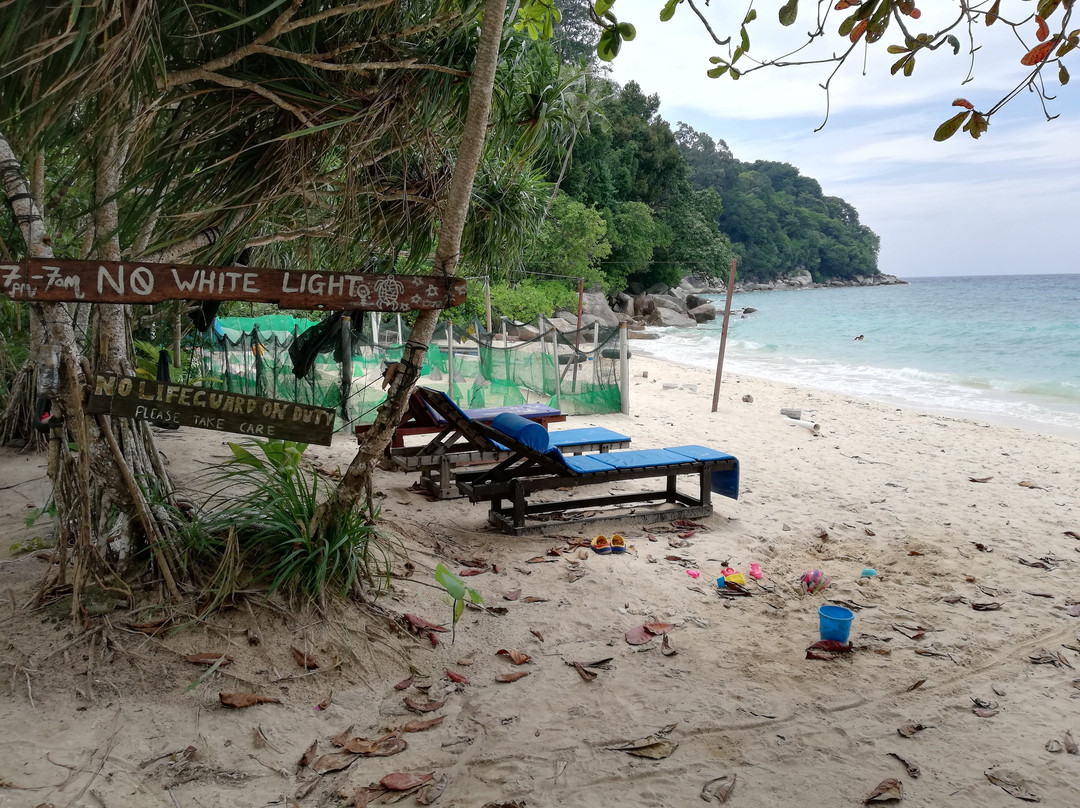 Bubbles Dive Resort主图