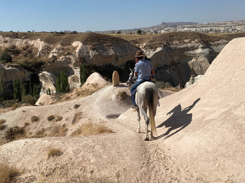 Lucky Horse Ranch-格雷梅必去景点