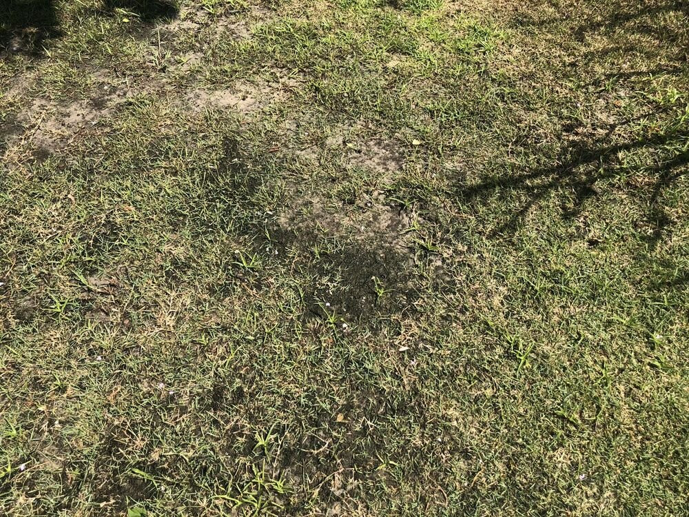 MiraBay Market-Apollo Beach必去景点