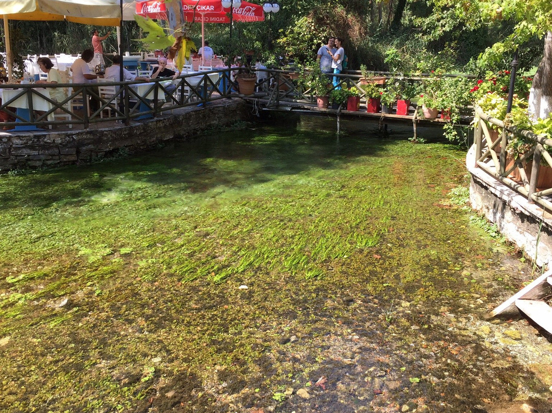 Akyaka River Romp景点图片