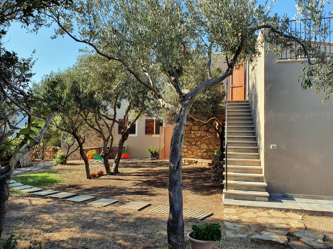 Sa Guardia de Ferricci主图