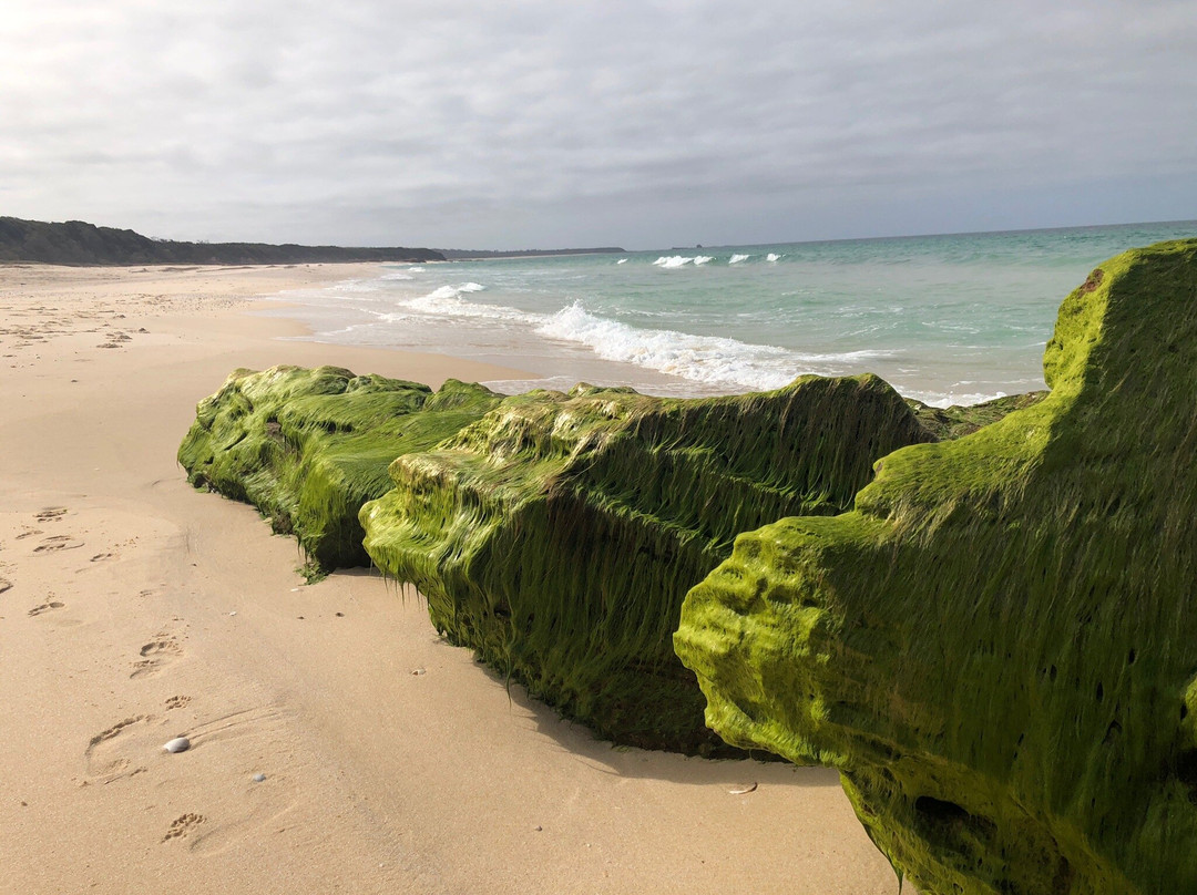 Pinnacles Beach-伊登港必去景点