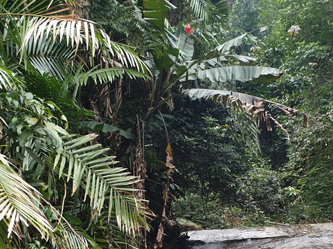 Ha Giang Primitive Tour-Viet Quang必去景点