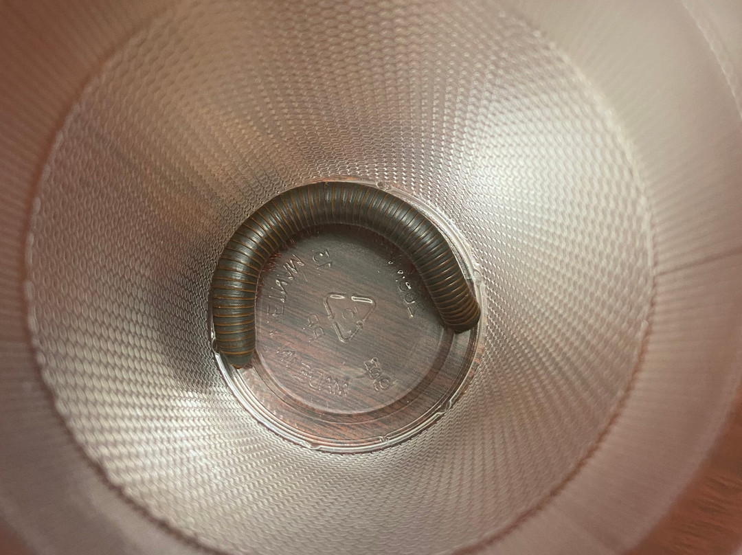 Red Roof Inn & Suites Newport News主图