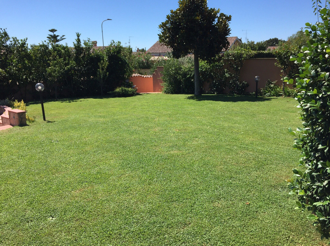 B&B Sedici Pini主图