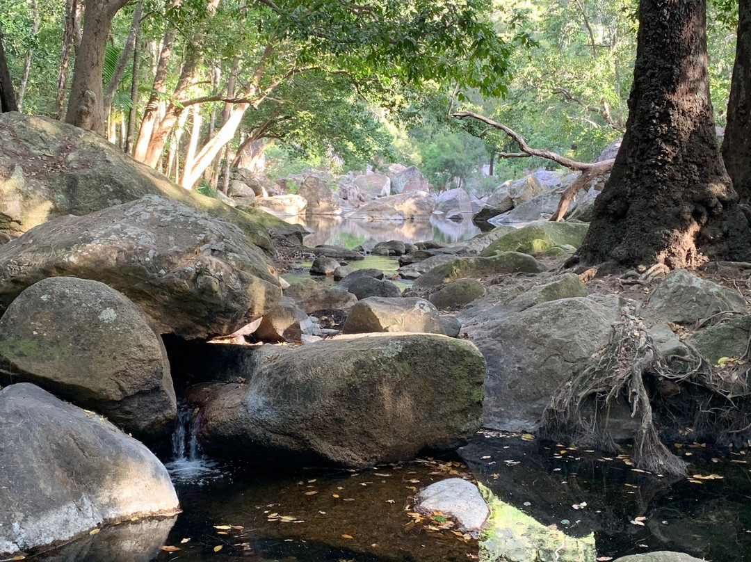 Jourama Falls-Ingham必去景点