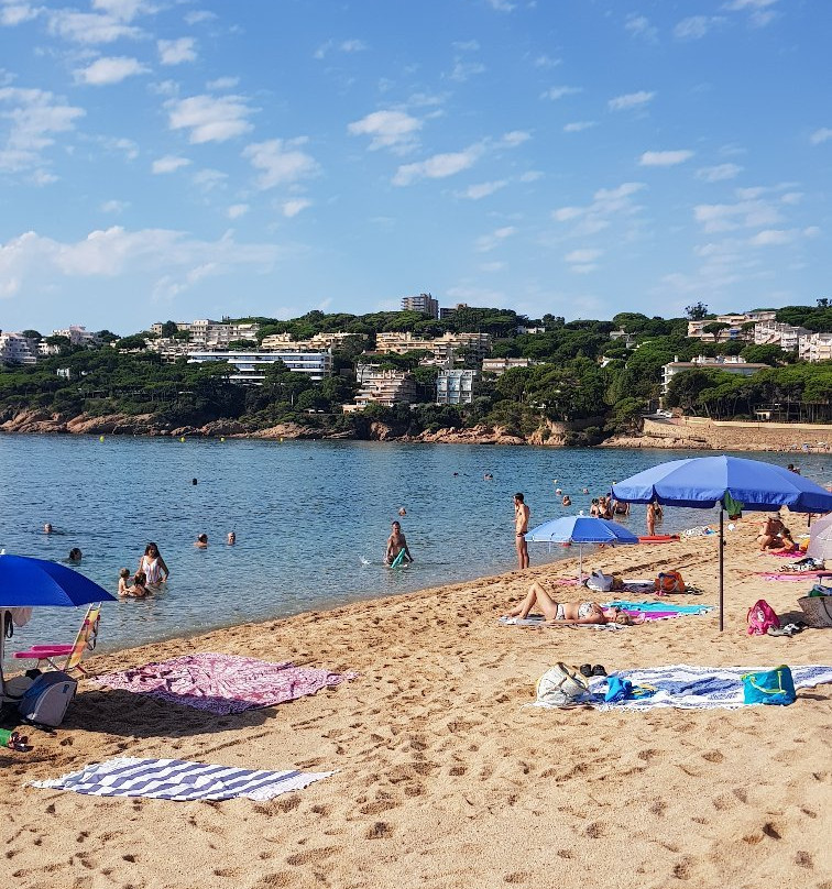 San Pol Beach景点图片