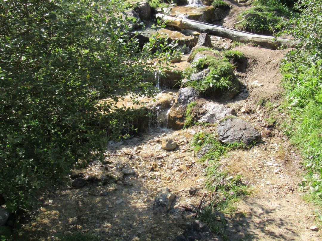 Passeggiata Per Famiglie: Mondo Magico della Foresta - Sorgenti della Drava景点图片