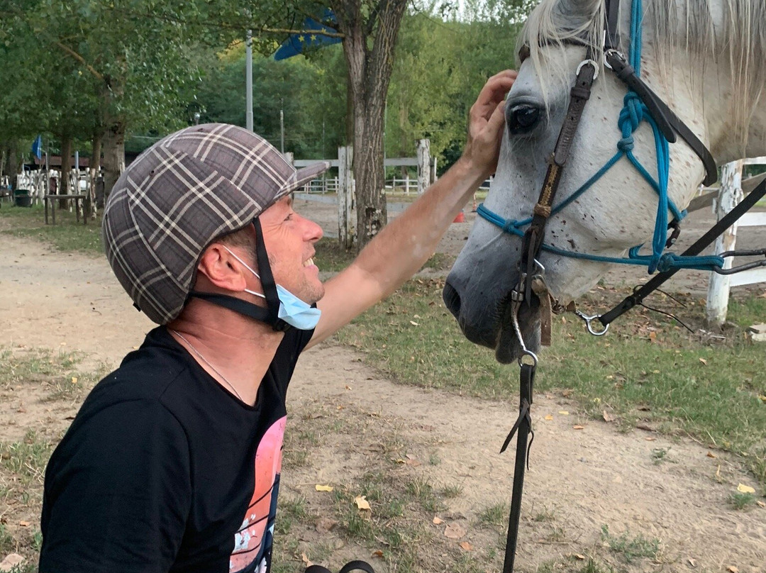 Lucca Horseriding景点图片