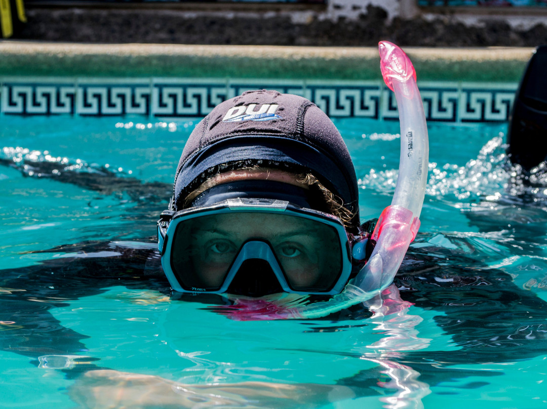 Buceo Pichidangui Dive Center-Pichidangui必去景点