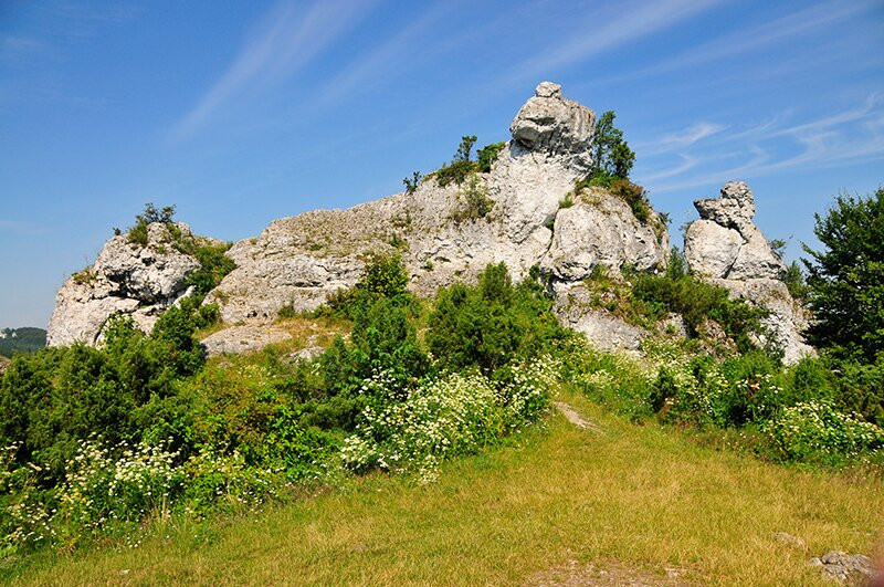 Gora Zborow - Jaskinia Głeboka w Podlesicach景点图片