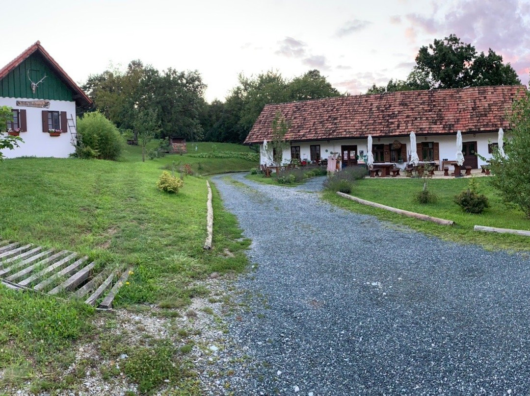Weinek's Kellerstockl U. Lodge主图