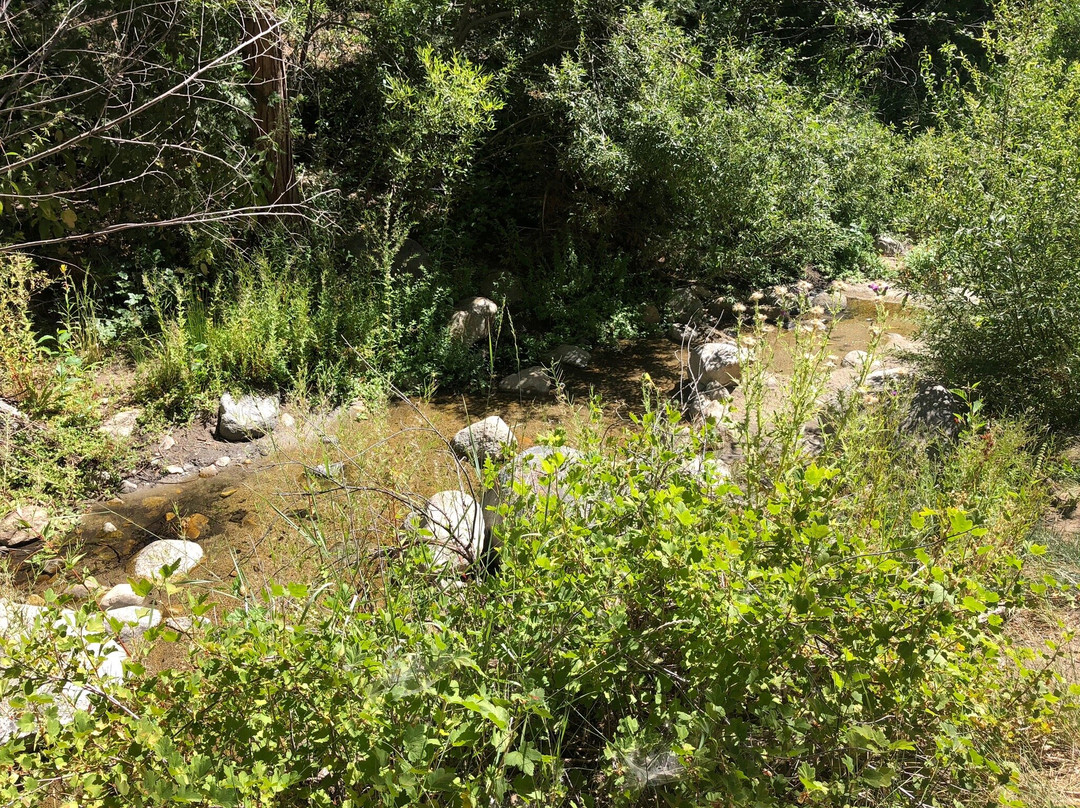 Idyllwild Park-Idyllwild必去景点