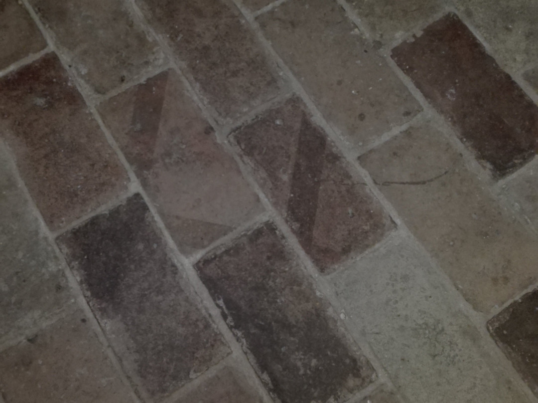 B&B Antica Biblioteca主图