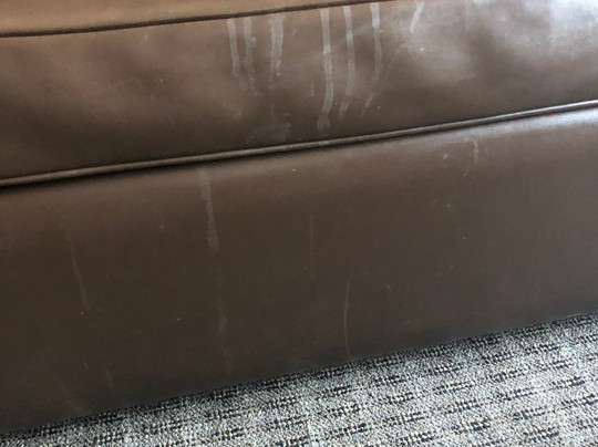 Stoney Nakoda Resort & Casino主图