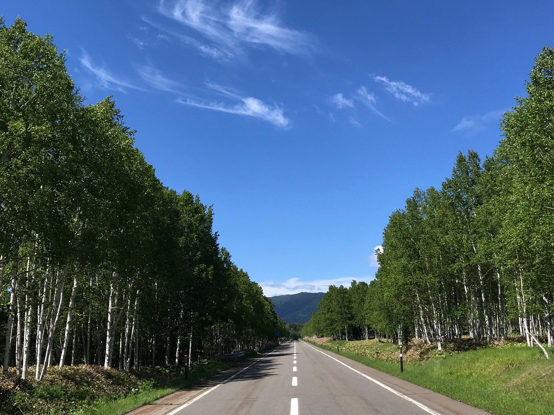 Tokachi Mitsumata-上士幌町必去景点