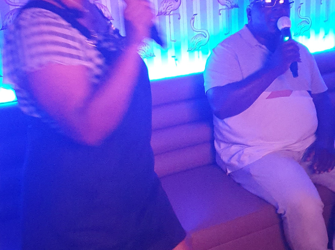 BAM Karaoke Box Parmentier-巴黎必去景点