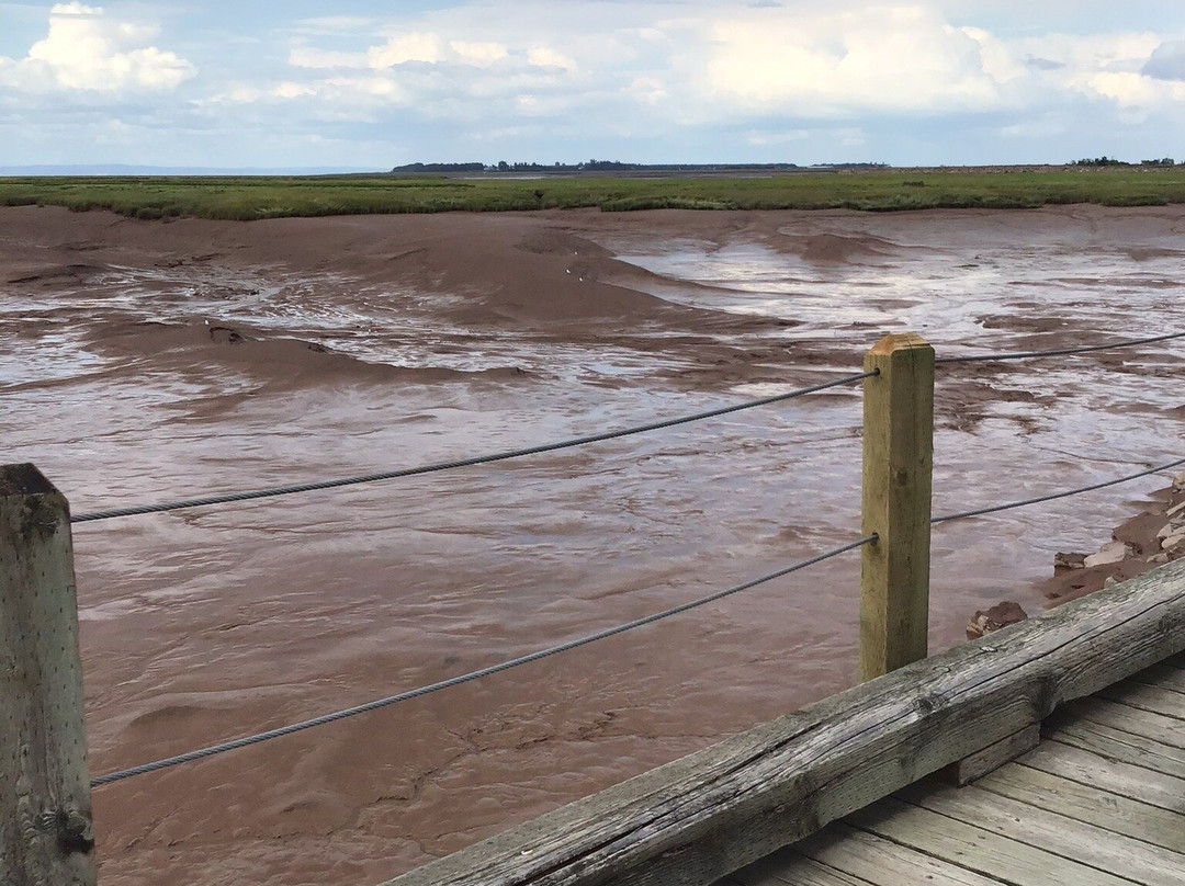 Micro Boutique Living Wolfville主图