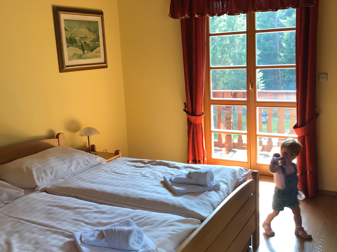 Hotel Alpska Vyhlidka主图