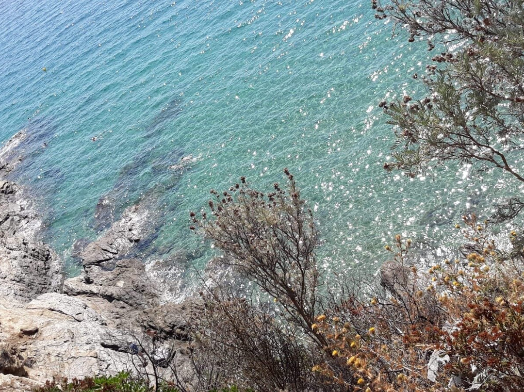 Sentier du Fenouillet-Cavalaire-Sur-Mer必去景点