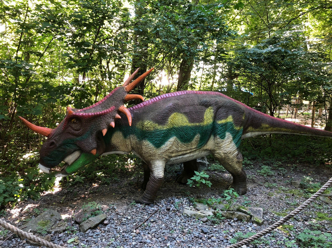 Dino Park景点图片