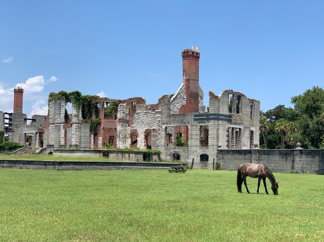 Cumberland Island National Seashore Museum-St. Marys必去景点