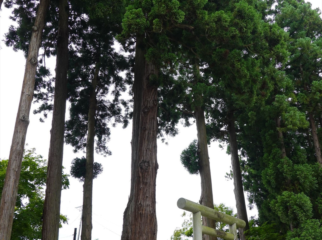 Somiya Shrine景点图片