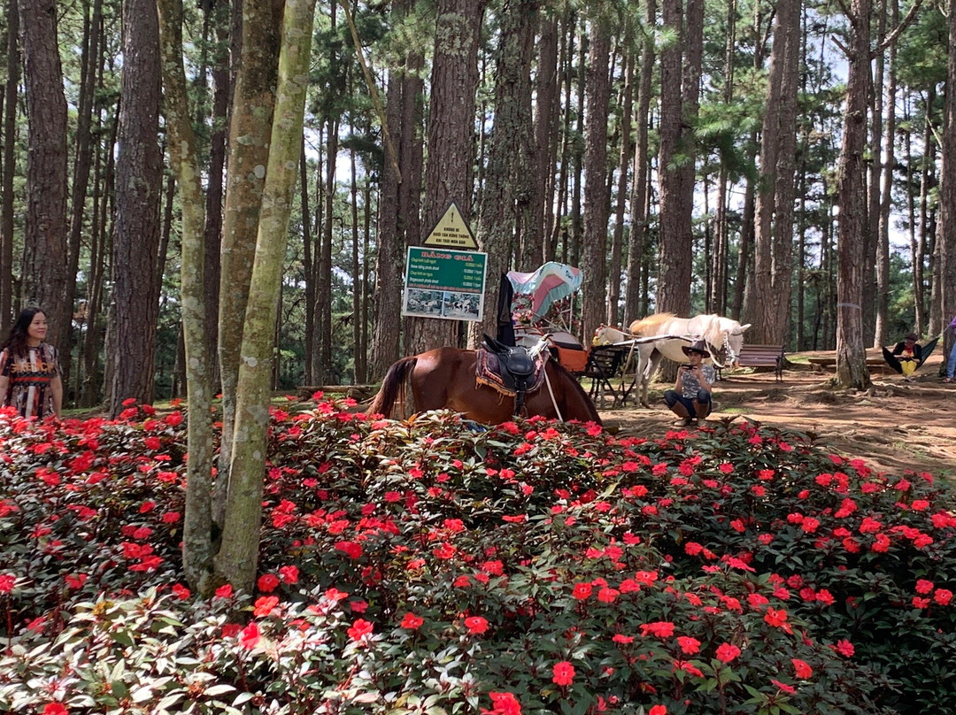 Golden Valley-大勒必去景点