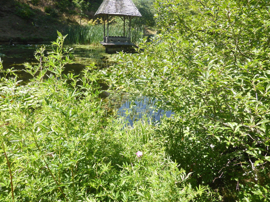Arboretum De La Sedelle景点图片