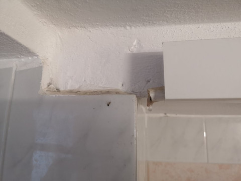 佩特里诺宾馆主图