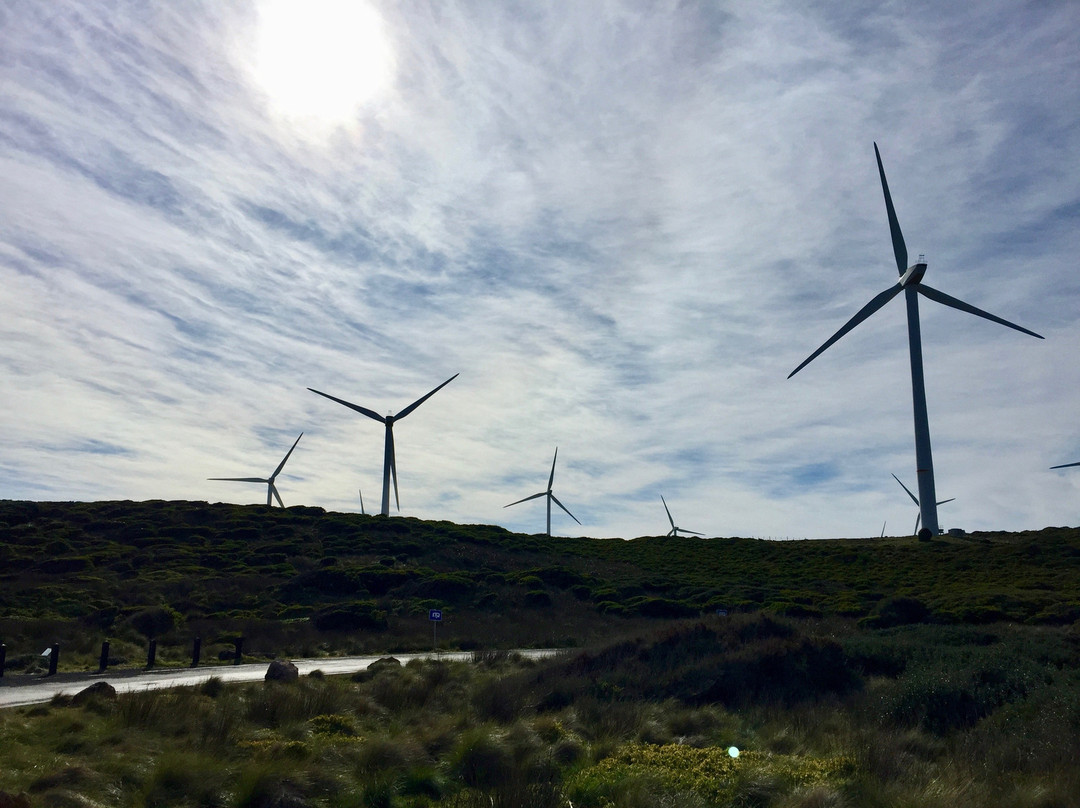 Cape Bridgewater Wind Farm-Cape Bridgewater必去景点