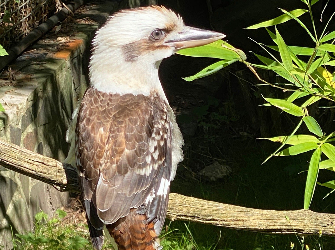 Tierpark Hamm景点图片