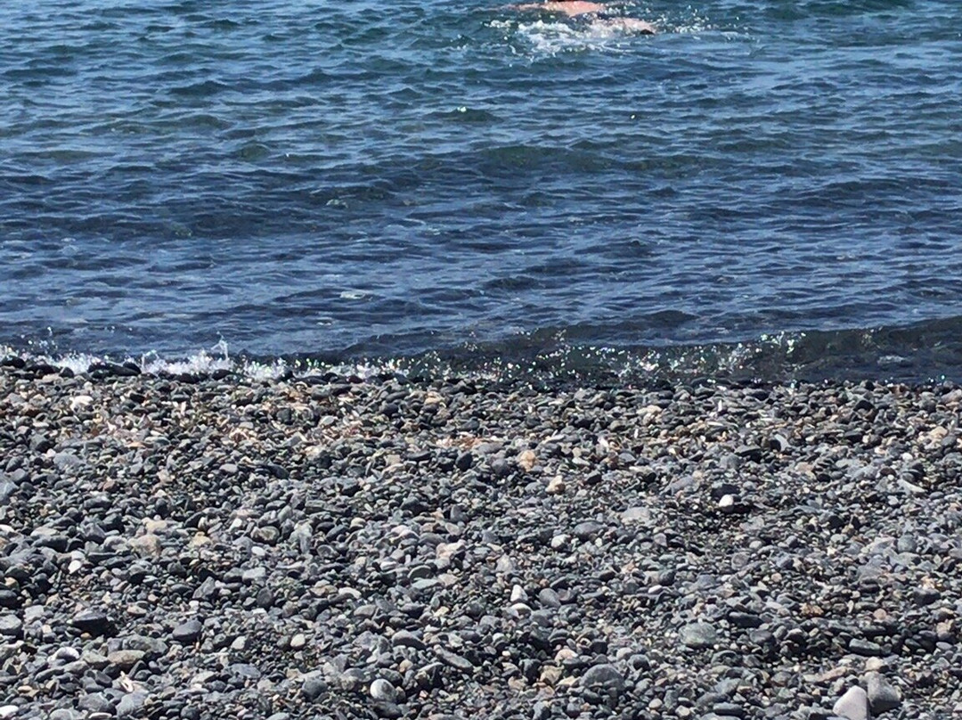 Spiaggia delle Tombe-Campo nell'Elba必去景点